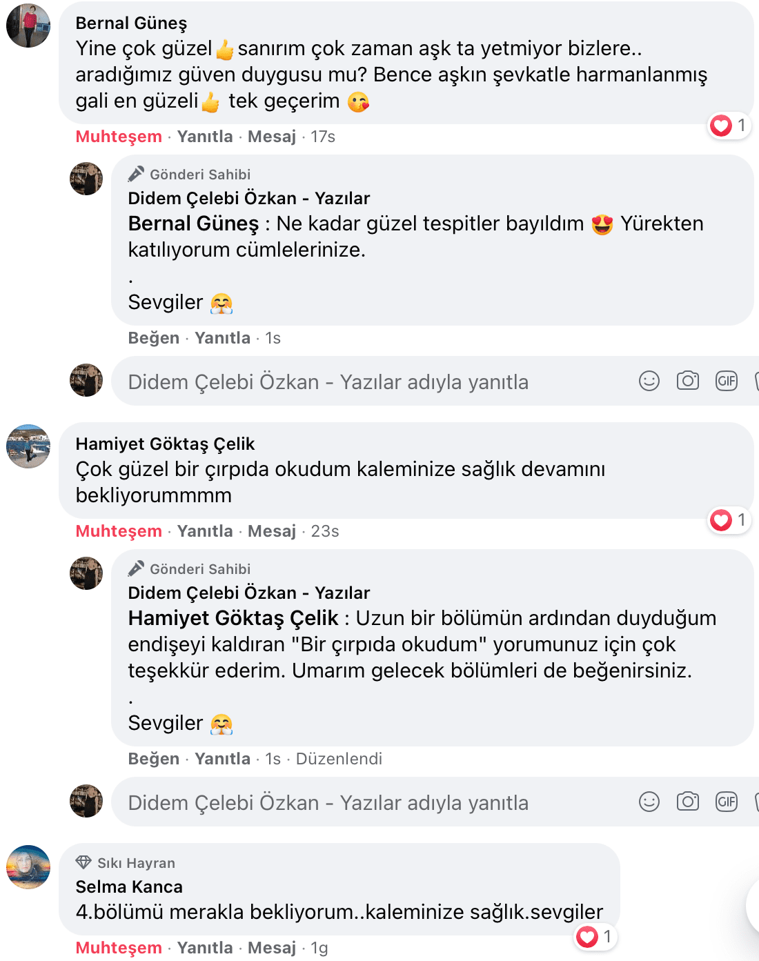 Benim Sarhoşluğum Temizdir Bir Kere | Didem Çelebi Özkan Yazılar Facebook Sayfası Yorumları | 21