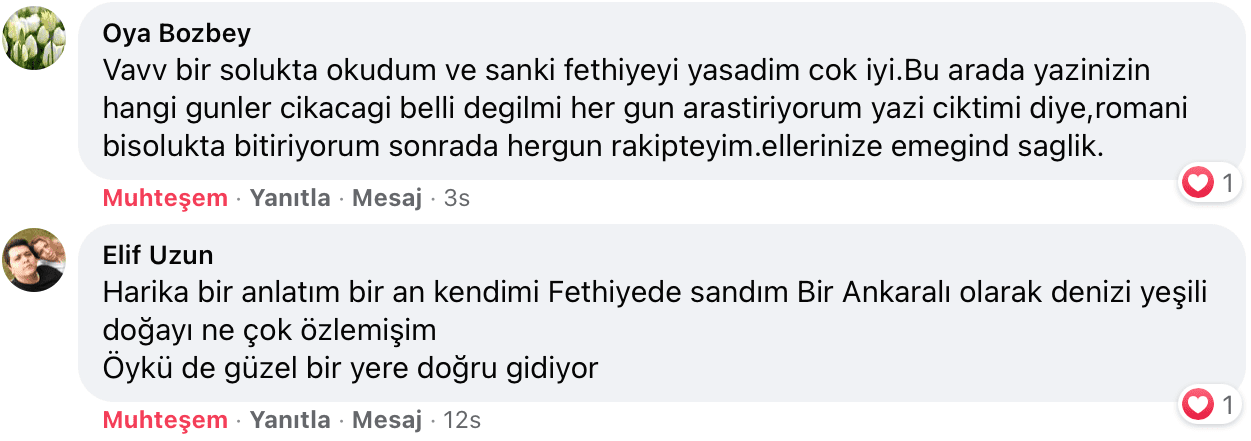 Belki Şimdi Doğru Zamandır | Didem Çelebi Özkan Yazılar Facebook Sayfası Yorumları | B01