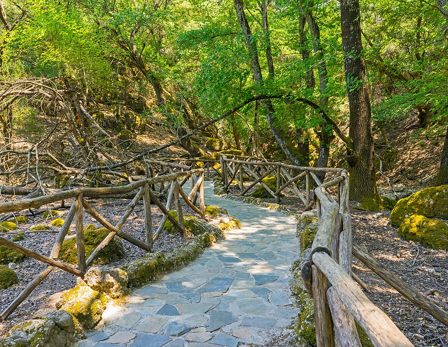 Kelebekler Vadisi | Rodos