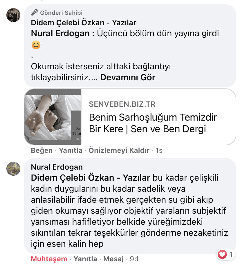 Benim Sarhoşluğum Temizdir Bir Kere | Didem Çelebi Özkan Yazılar Facebook Sayfası Yorumları | 01