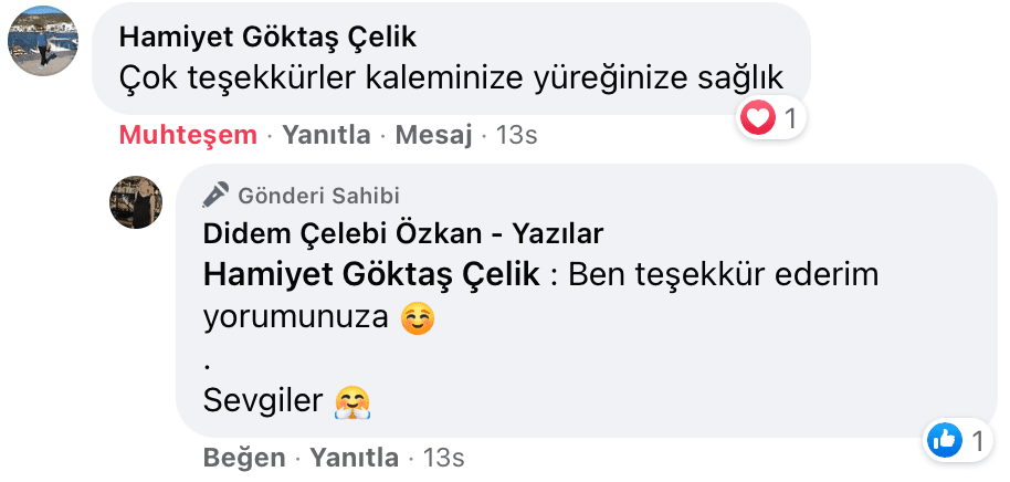 Sevişme Vakti | Didem Çelebi Özkan Yazılar Facebook Sayfası Yorumları | 01