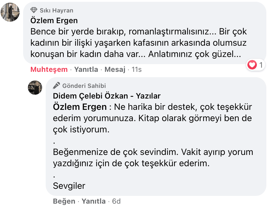Sevişme Vakti | Didem Çelebi Özkan Yazılar Facebook Sayfası Yorumları | 03