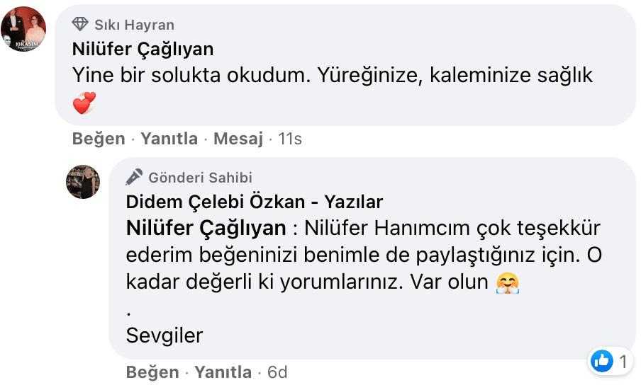 Sevişme Vakti | Didem Çelebi Özkan Yazılar Facebook Sayfası Yorumları | 04