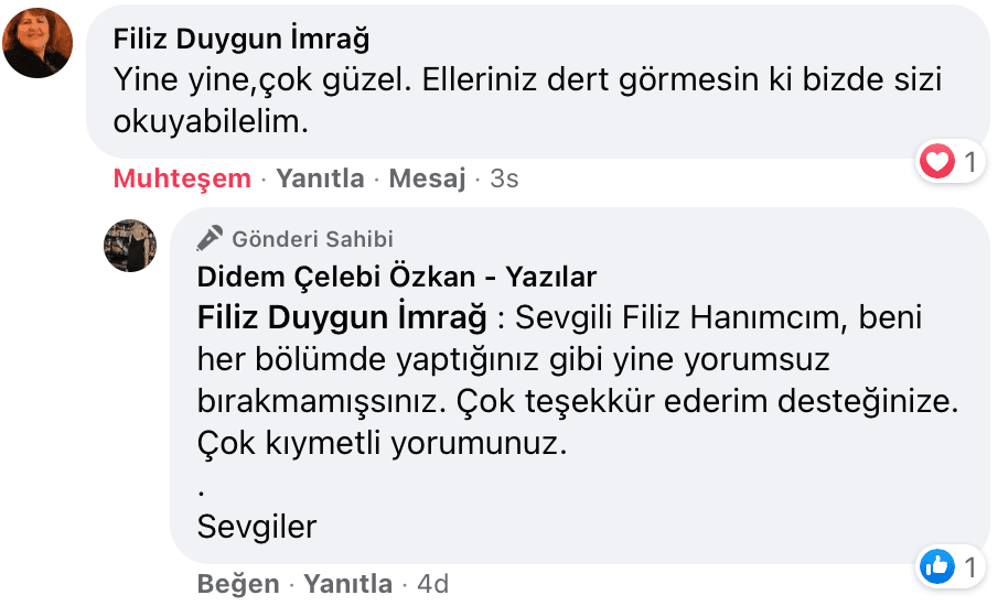 Sevişme Vakti | Didem Çelebi Özkan Yazılar Facebook Sayfası Yorumları | 05