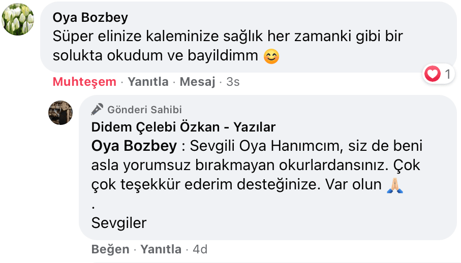 Sevişme Vakti | Didem Çelebi Özkan Yazılar Facebook Sayfası Yorumları | 06
