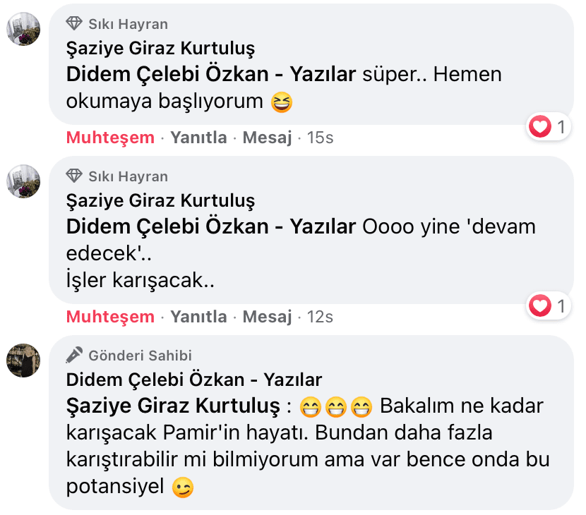 Sevişme Vakti | Didem Çelebi Özkan Yazılar Facebook Sayfası Yorumları | 08