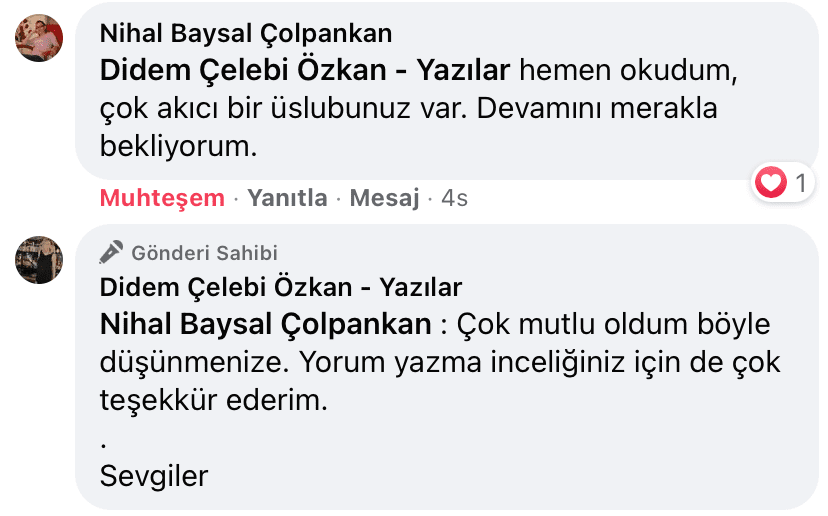 Sevişme Vakti | Didem Çelebi Özkan Yazılar Facebook Sayfası Yorumları | 10