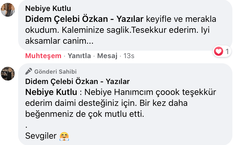 Sevişme Vakti | Didem Çelebi Özkan Yazılar Facebook Sayfası Yorumları | 11
