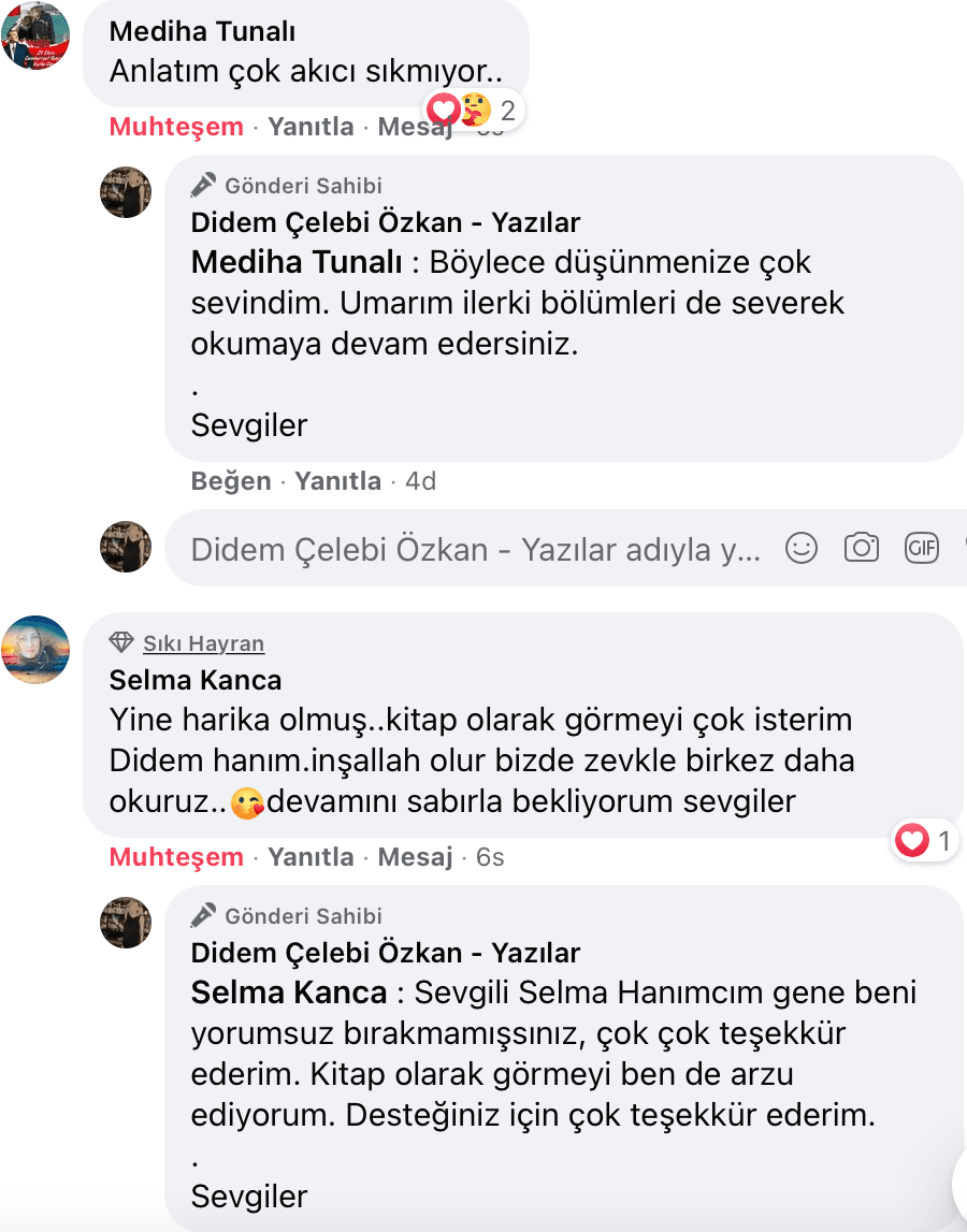 Sevişme Vakti | Didem Çelebi Özkan Yazılar Facebook Sayfası Yorumları | 12