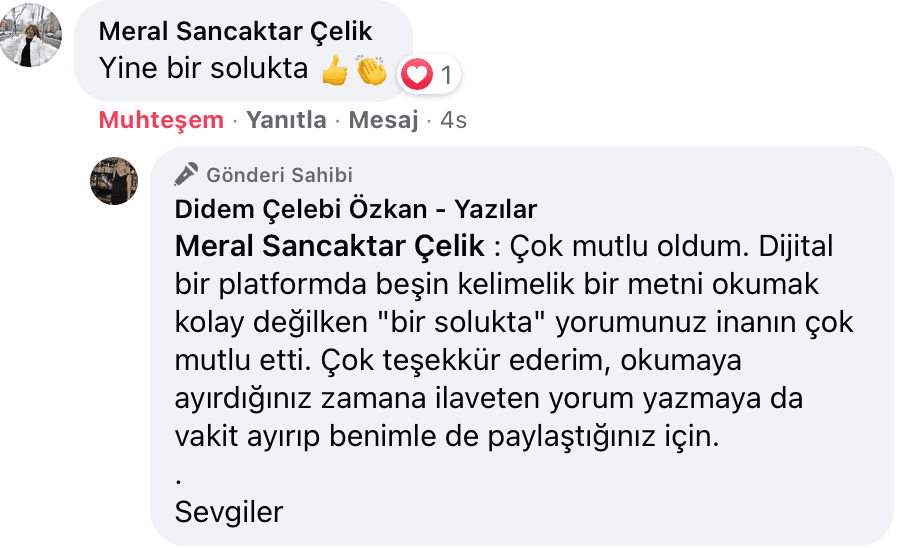 Sevişme Vakti | Didem Çelebi Özkan Yazılar Facebook Sayfası Yorumları | 13
