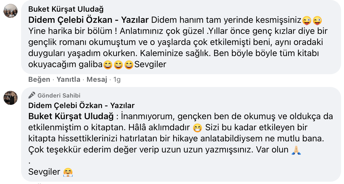 Sevişme Vakti | Didem Çelebi Özkan Yazılar Facebook Sayfası Yorumları | 14