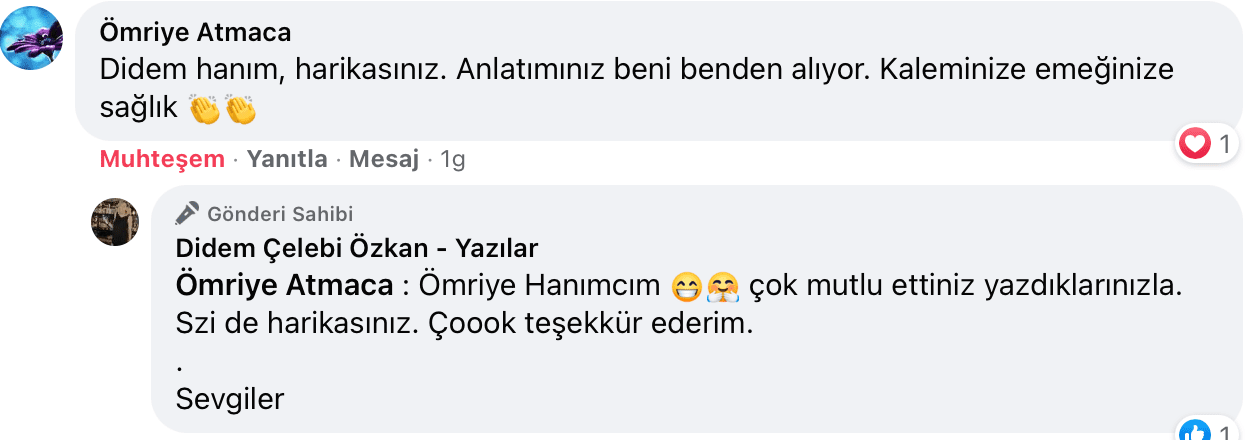 Sevişme Vakti | Didem Çelebi Özkan Yazılar Facebook Sayfası Yorumları | 15