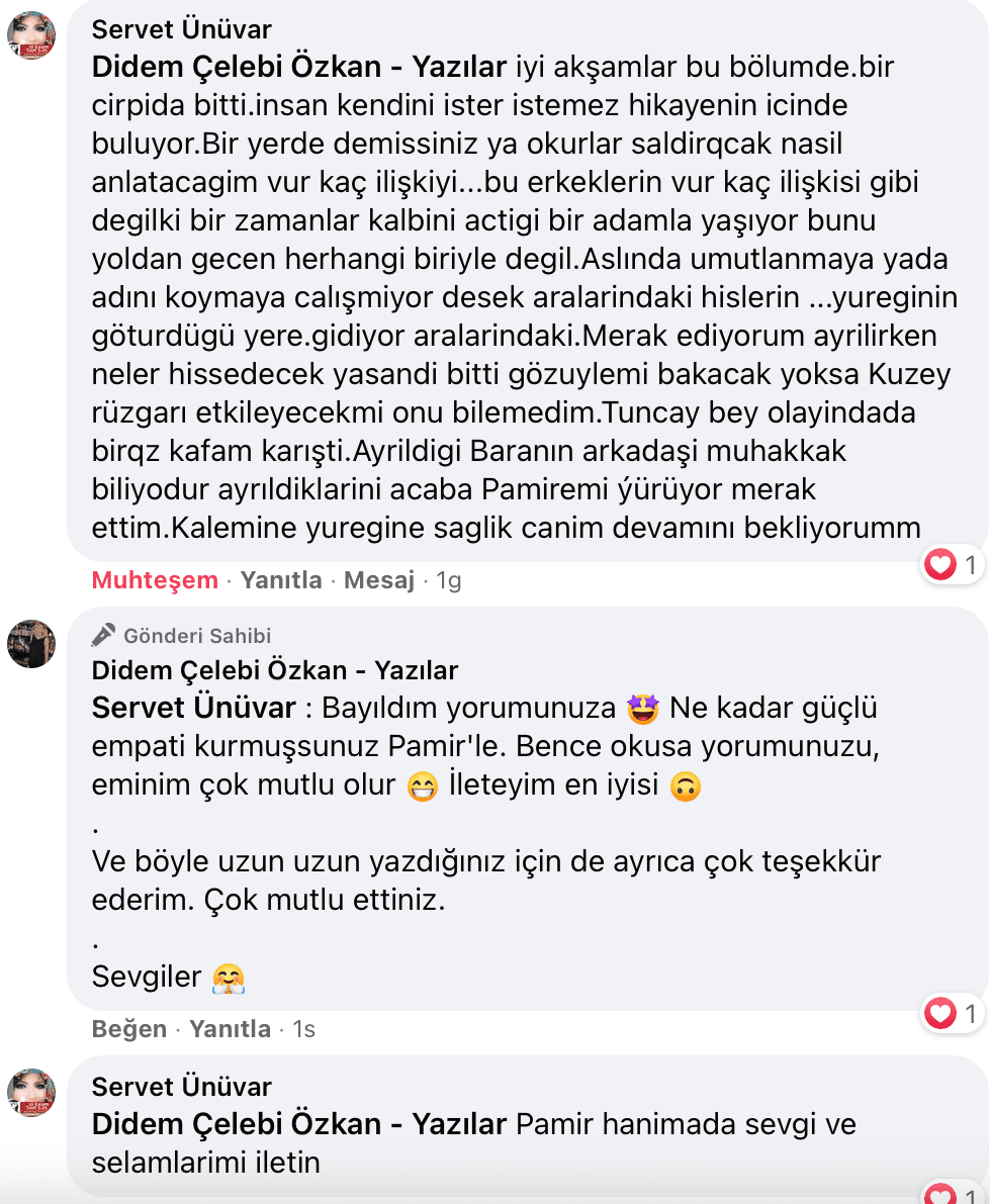 Sevişme Vakti | Didem Çelebi Özkan Yazılar Facebook Sayfası Yorumları | 17