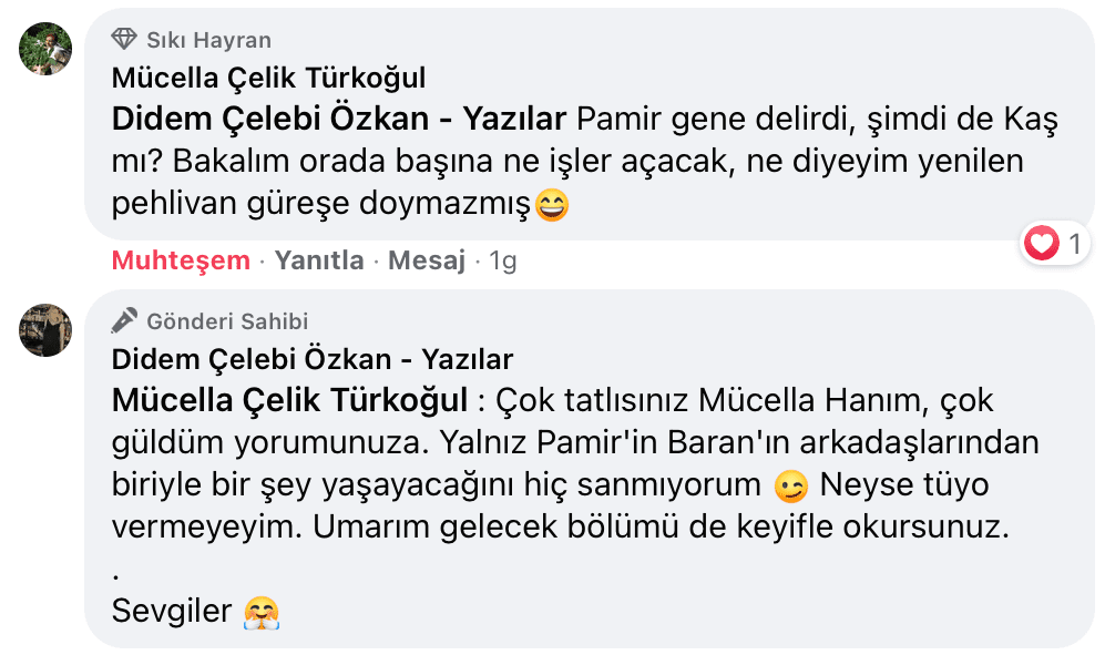 Sevişme Vakti | Didem Çelebi Özkan Yazılar Facebook Sayfası Yorumları | 18