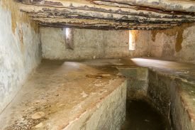 Yazı: Stonetown | Tanzanya’yı Keşfediyoruz