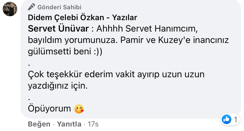 Uyanıp Öpmeyi İstediğim Kadın | Didem Çelebi Özkan Yazılar Facebook Sayfası Yorumları | 02
