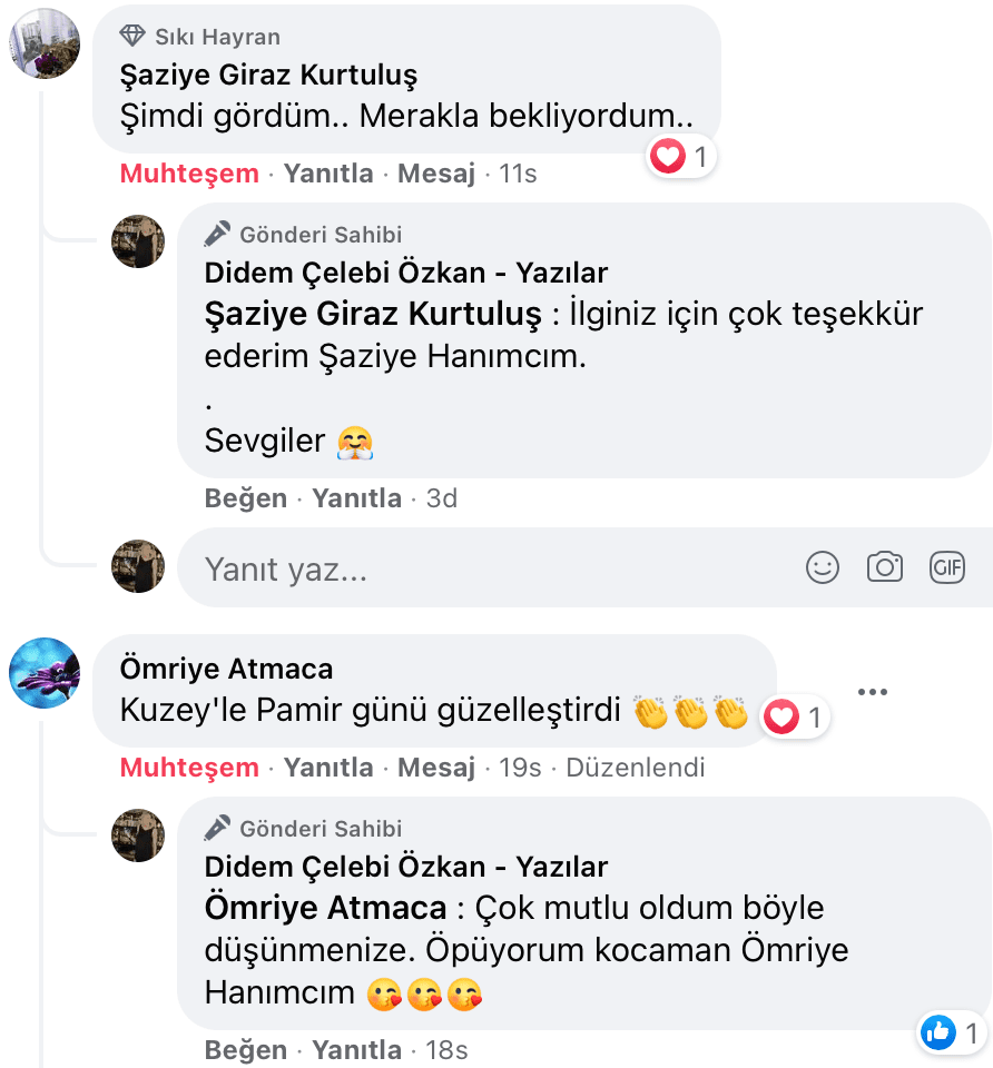Uyanıp Öpmeyi İstediğim Kadın | Didem Çelebi Özkan Yazılar Facebook Sayfası Yorumları | 04