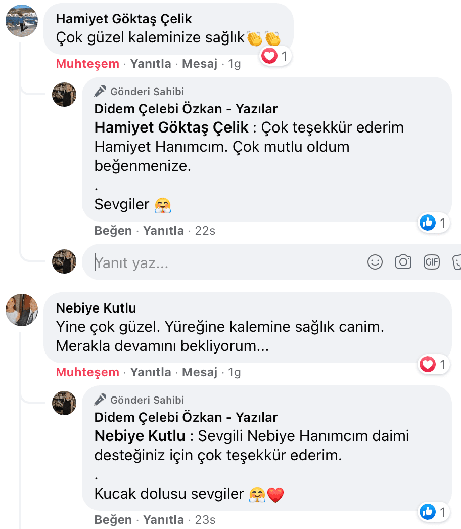 Uyanıp Öpmeyi İstediğim Kadın | Didem Çelebi Özkan Yazılar Facebook Sayfası Yorumları | 07