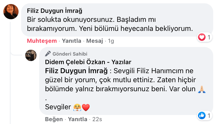 Uyanıp Öpmeyi İstediğim Kadın | Didem Çelebi Özkan Yazılar Facebook Sayfası Yorumları | 08