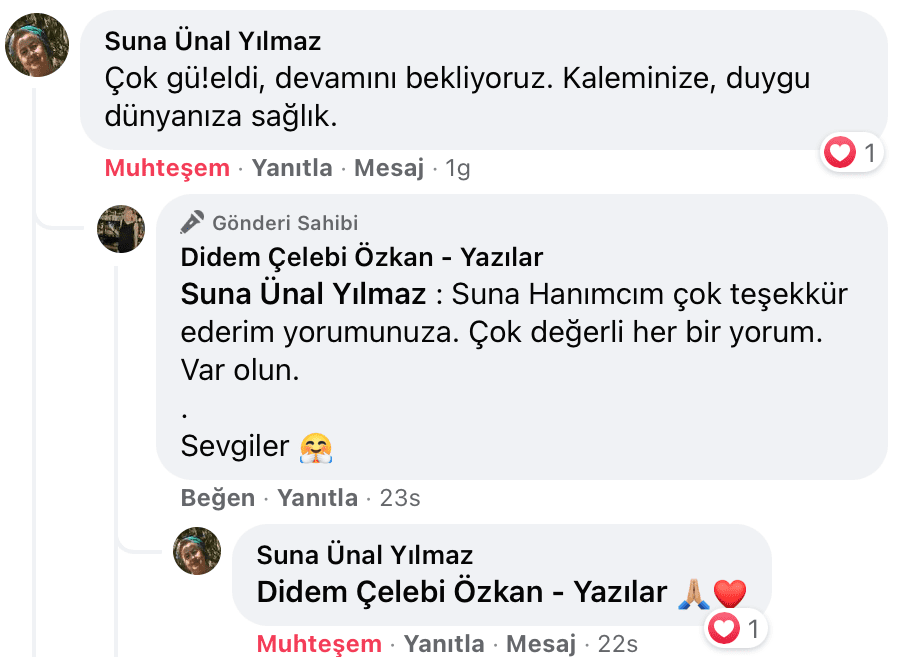Uyanıp Öpmeyi İstediğim Kadın | Didem Çelebi Özkan Yazılar Facebook Sayfası Yorumları | 10
