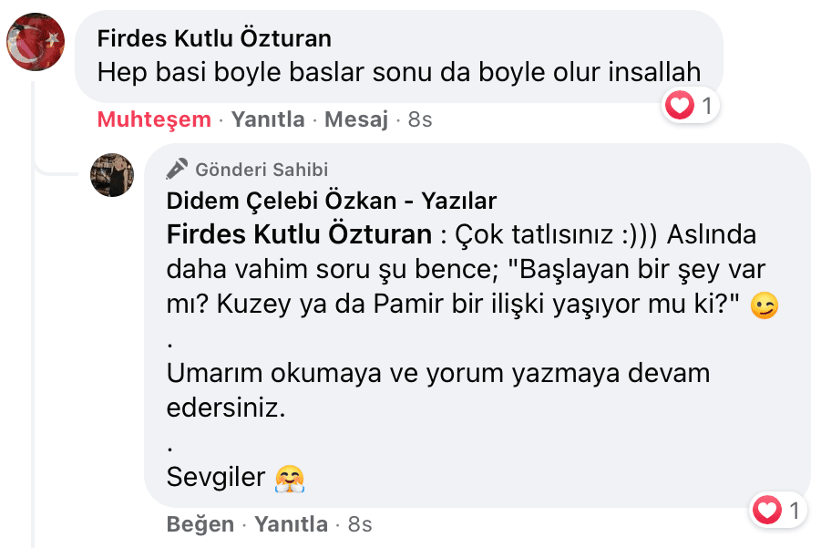 Uyanıp Öpmeyi İstediğim Kadın | Didem Çelebi Özkan Yazılar Facebook Sayfası Yorumları | 11