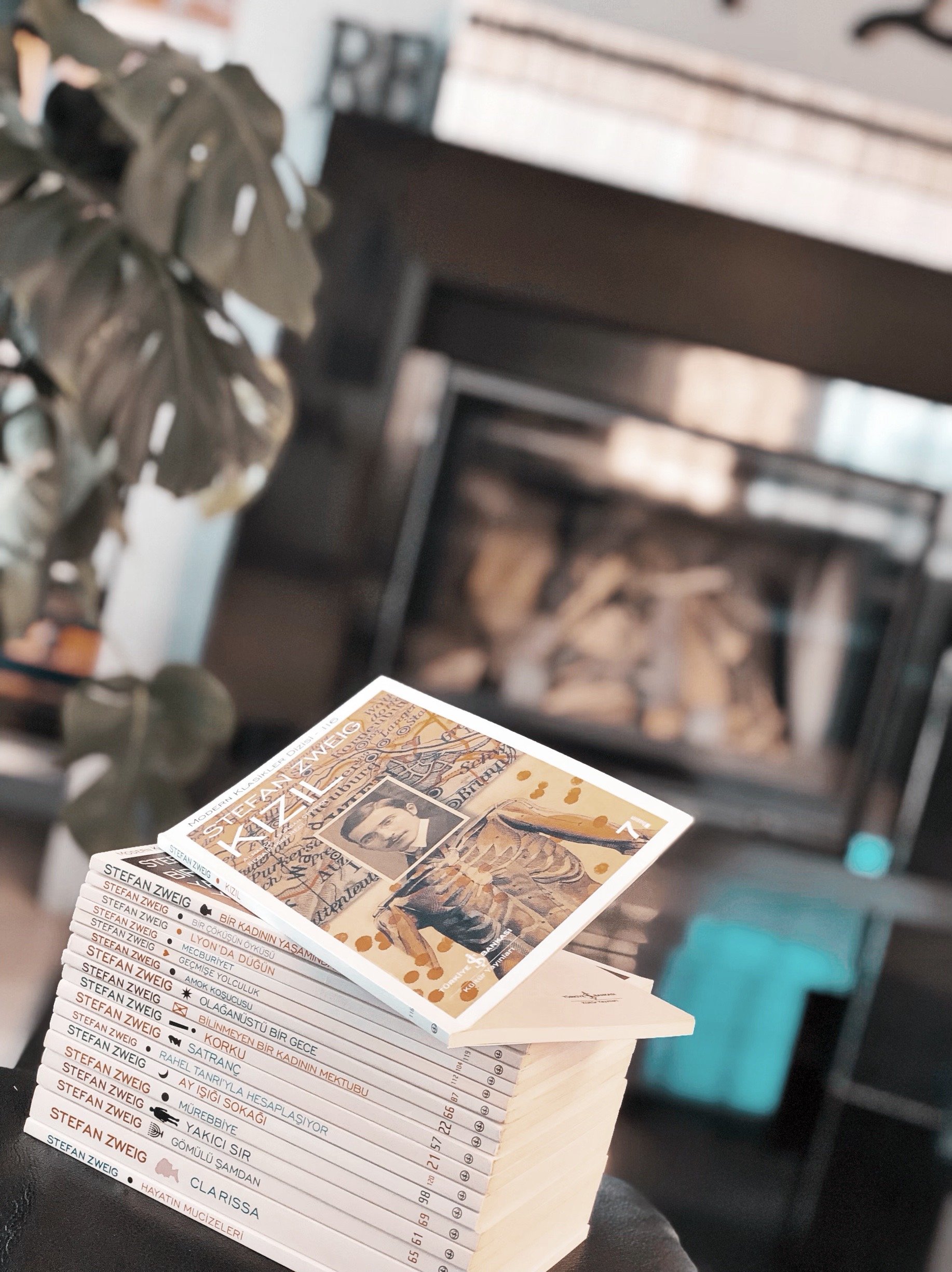 Stefan Zweig kitapları ile Didem Çelebi Özkan'ın evinden bir kare