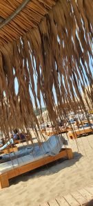 Yazı: Rodos | 3 | Yazan: Demet Albayrakoğlu