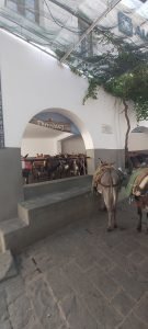 Yazı: Rodos | 3 | Yazan: Demet Albayrakoğlu