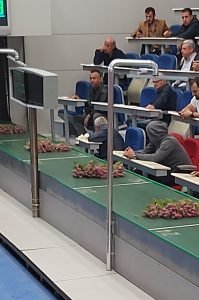Yazı: 1 Günlük Çiçekçilik Kursu | Yazan: Demet Albayrakoğlu