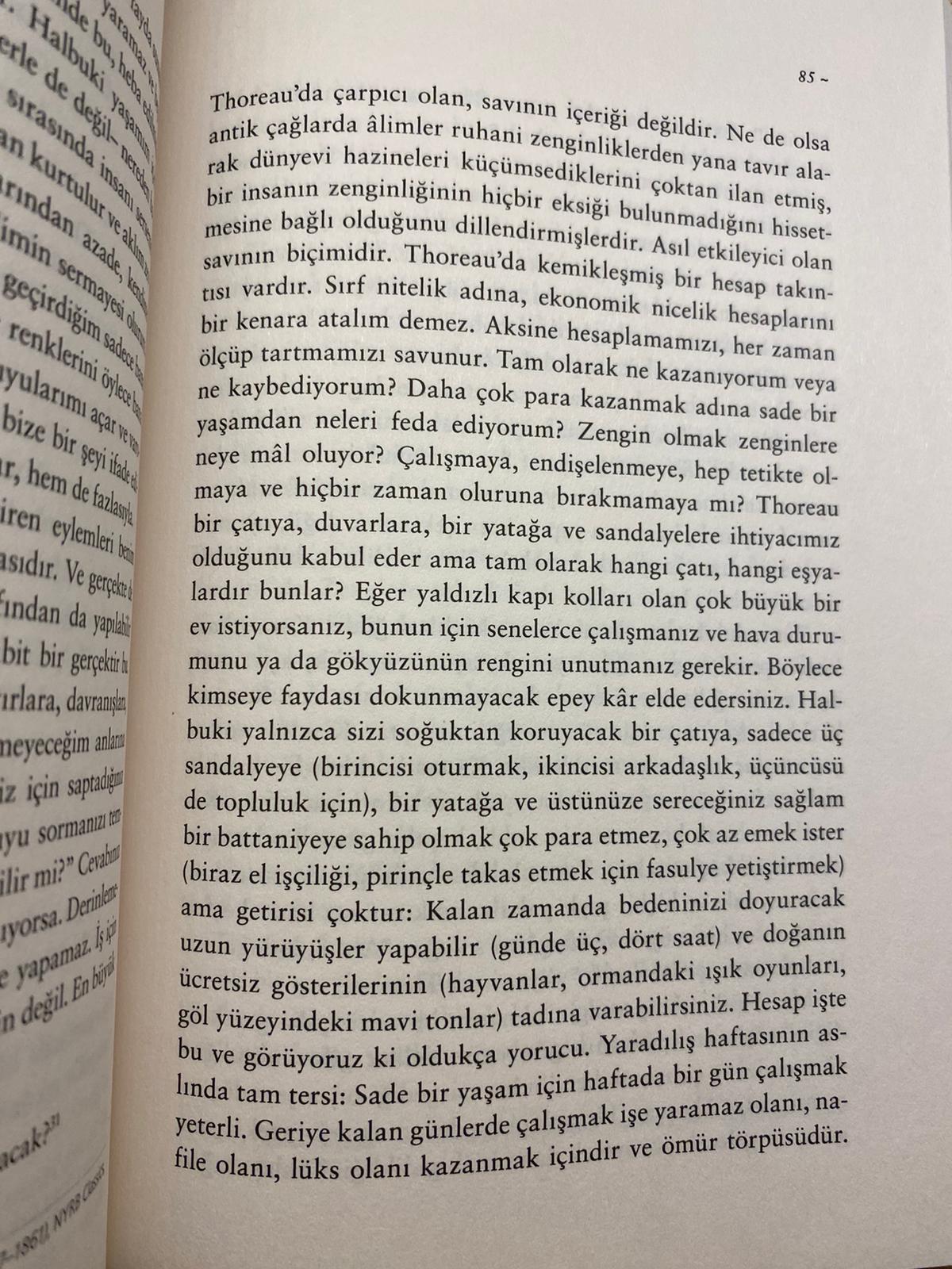 Yazı: Ne Olurdu? | Yazar: İlayda Oylum Güleryüz Çetinel