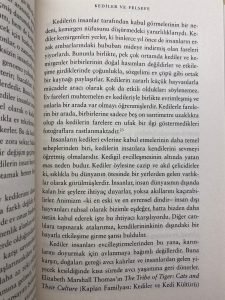 Yazı: Ne Olurdu? | Yazar: İlayda Oylum Güleryüz Çetinel