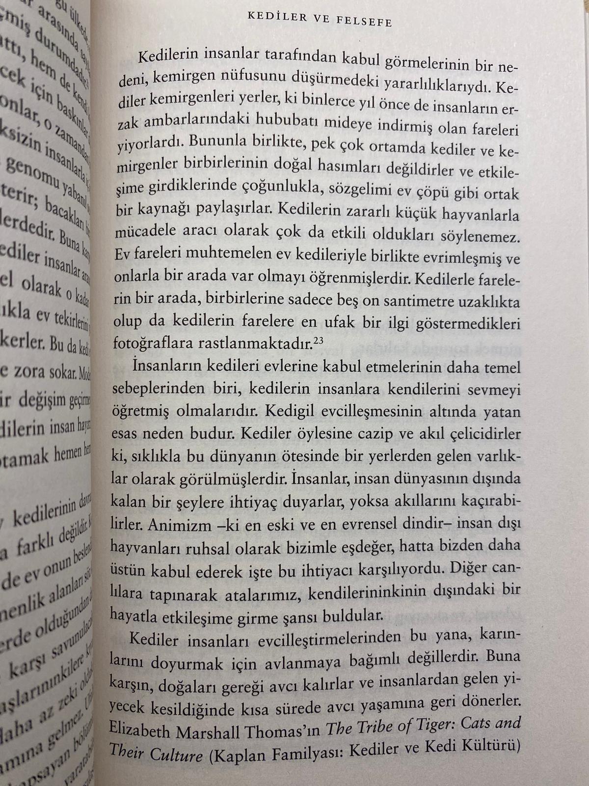 Yazı: Ne Olurdu? | Yazar: İlayda Oylum Güleryüz Çetinel