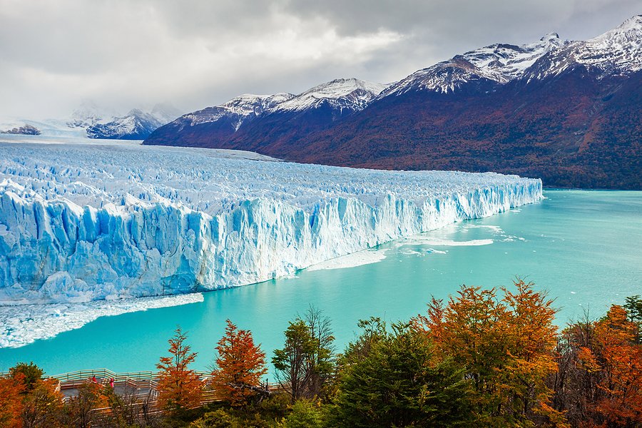 El Calafate | Argentino Gölü | Patagonia | Arjantin